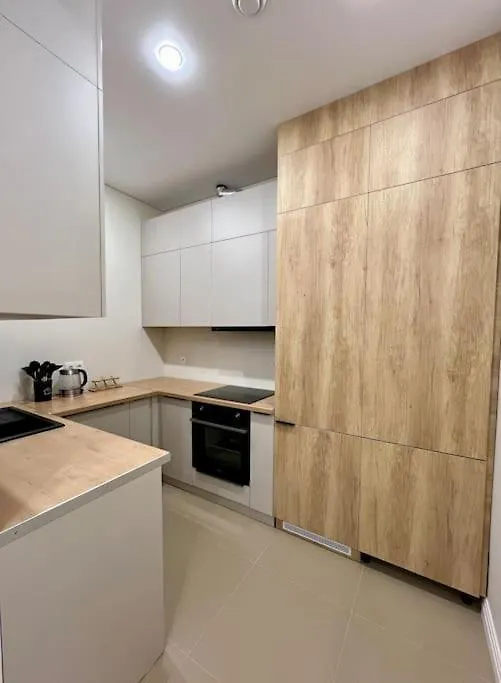Urban Miracle Apartment アルマトイ